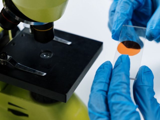 Avis sur BioQuip Products, fournisseur d&rsquo;outils pour collections