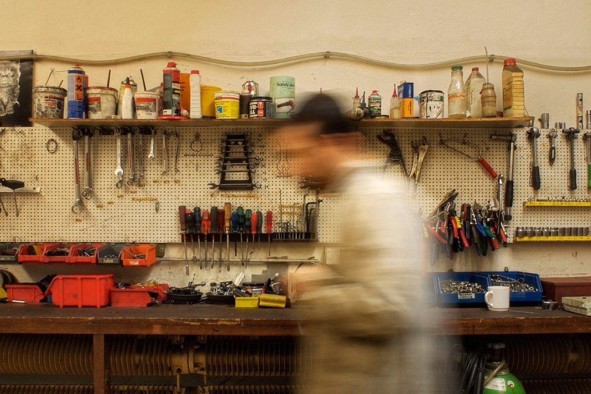 Restauration de taxidermie — services locaux