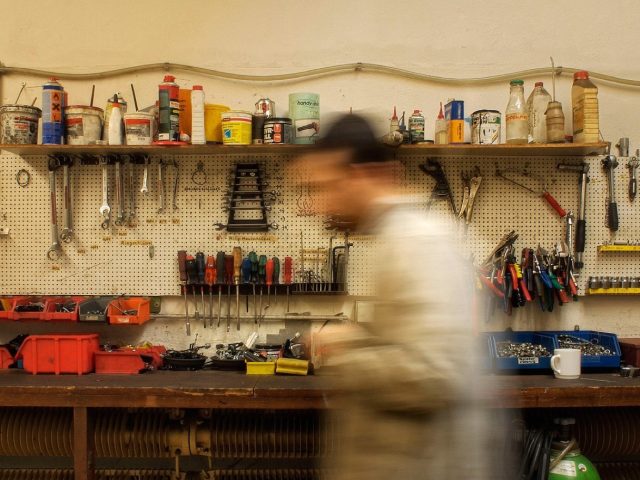 Restauration de taxidermie — services locaux