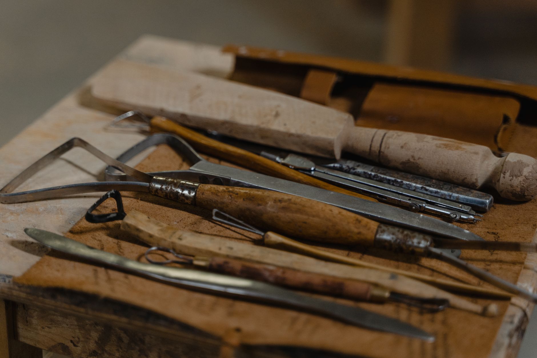 Taxidermie : outils indispensables pour débutant