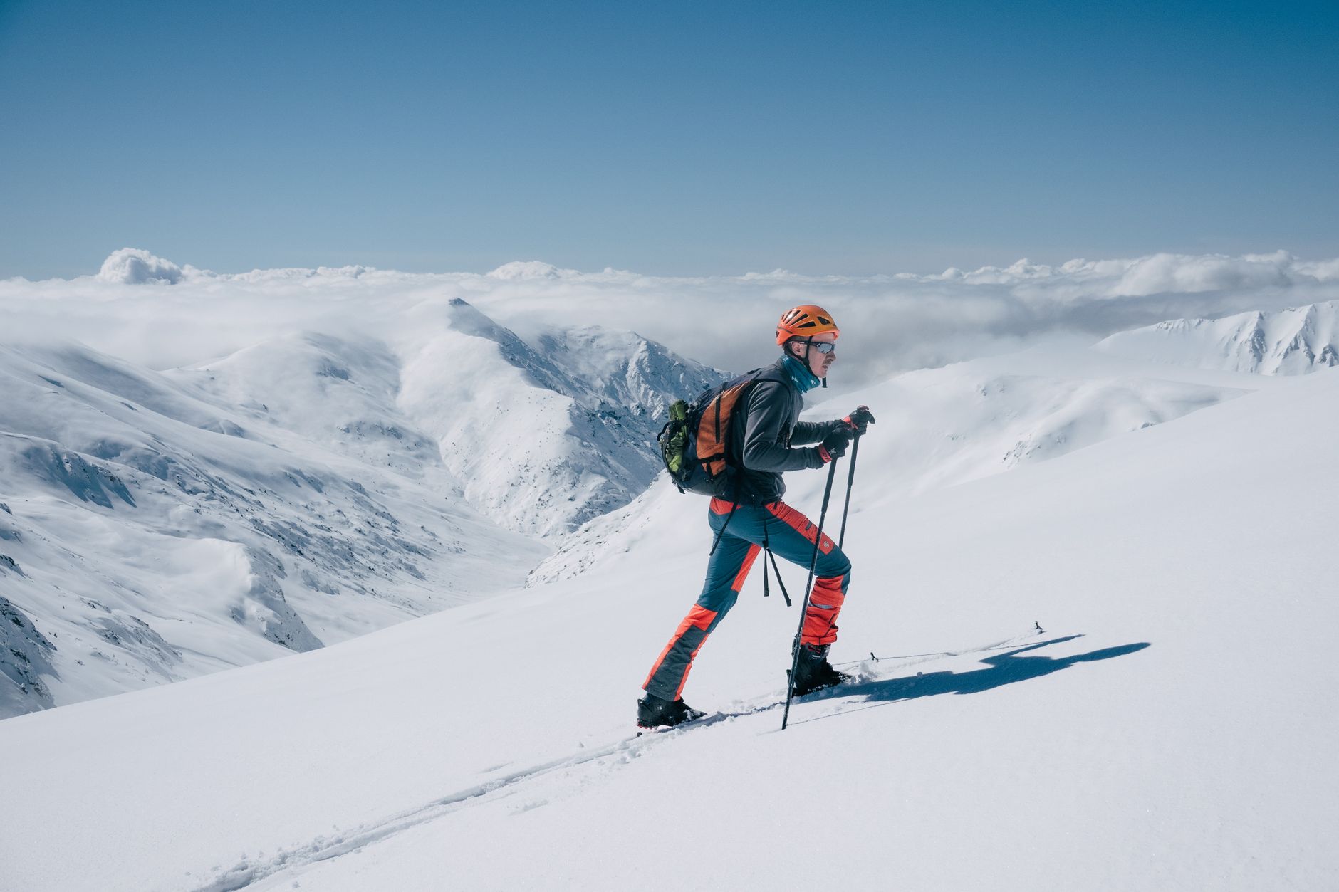 Guide pratique pour transporter peaux et os depuis le terrain
