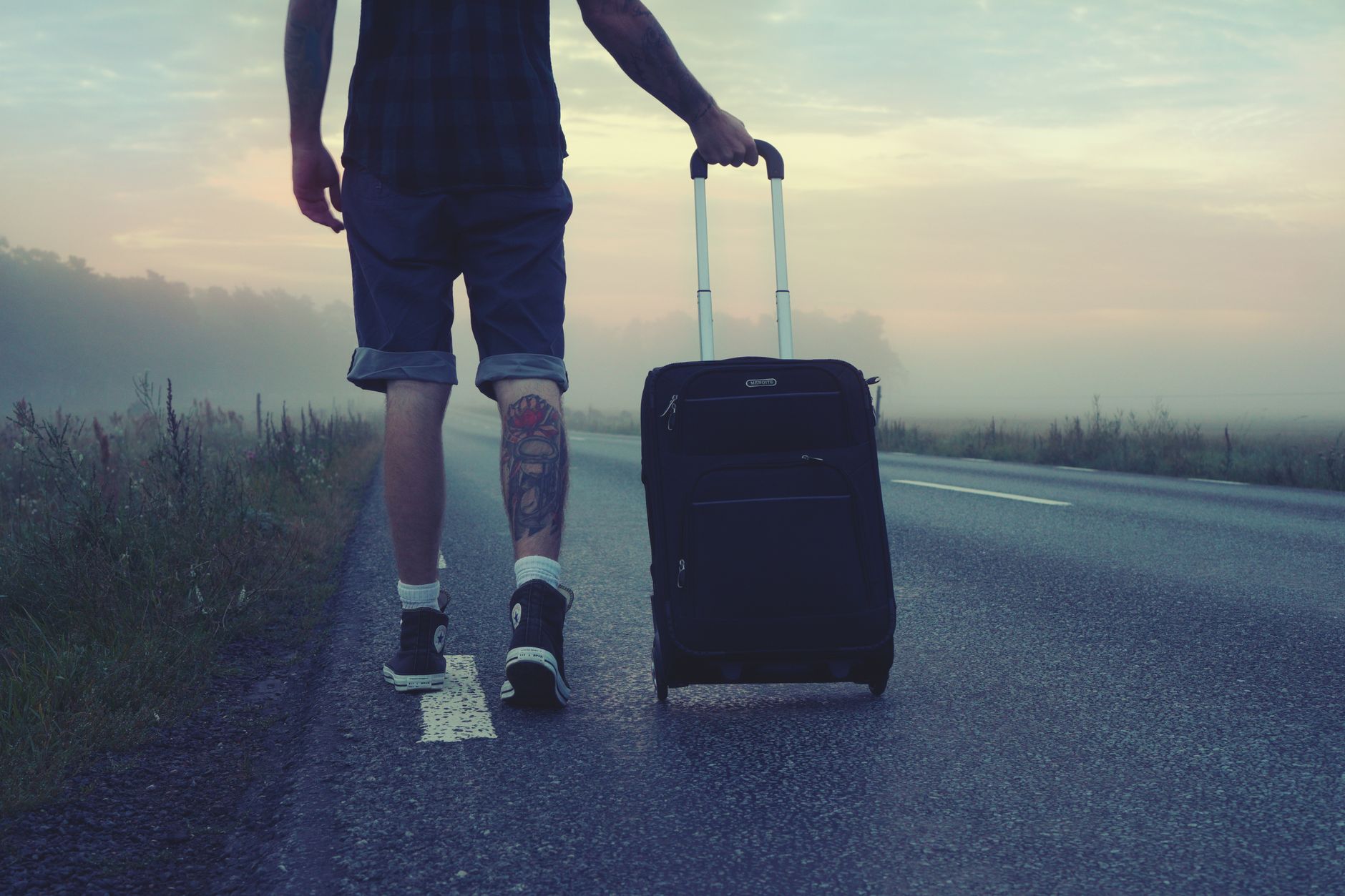 Transport et formalités pour spécimens naturalisés